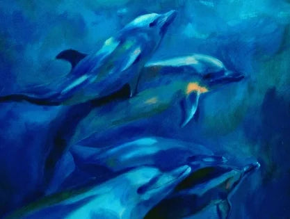 Dolphins Play